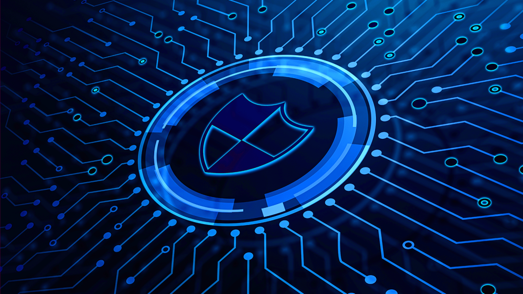 The Growing Importance of Cybersecurity
