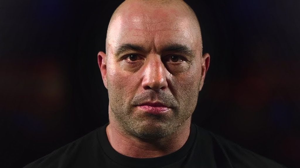 What Are Joe Rogan's Hobbies?