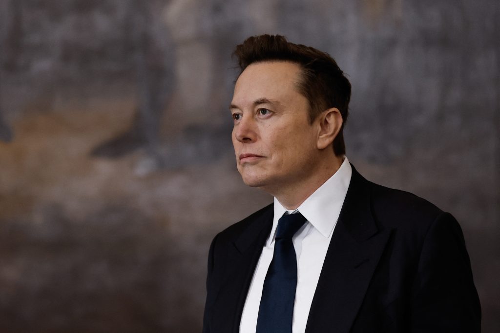 Elon Musk's Views on Government Regulation in the Tech Industry