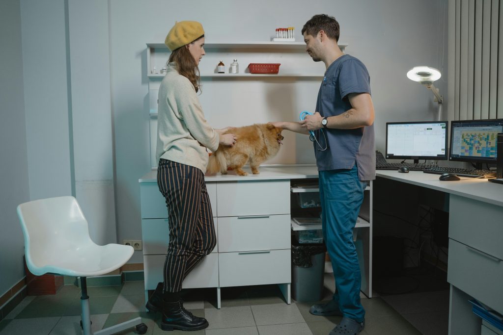 How Modern Veterinary Practices Stay Ahead With Smarter Tools And Better Care